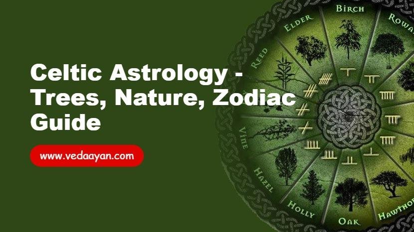 Celtic Astrology - Trees, Nature, Zodiac Guide
