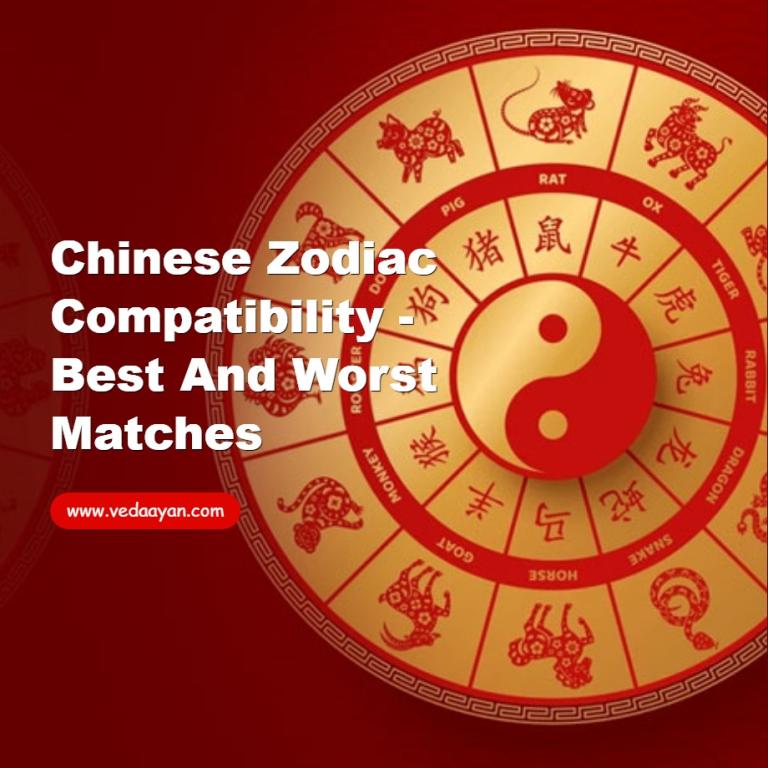 Chinese Zodiac Compatibility