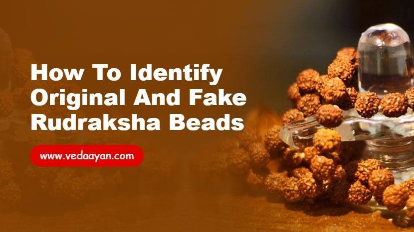 How to Identify Original and Fake Rudraksha Beads