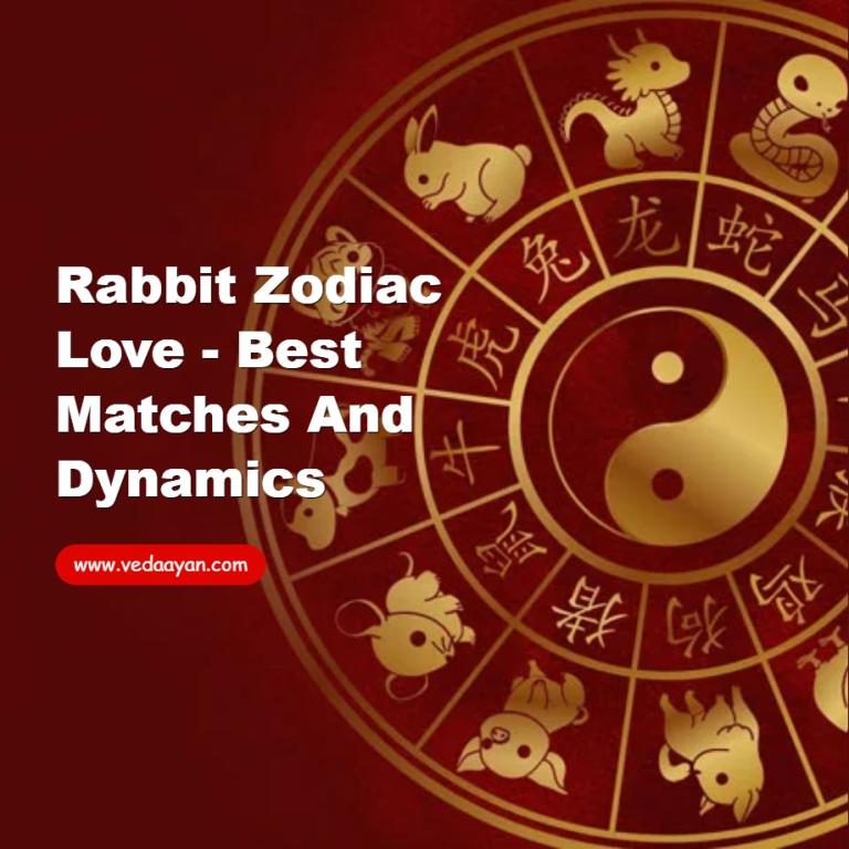 Rabbit Zodiac Love - Best Matches and Dynamics