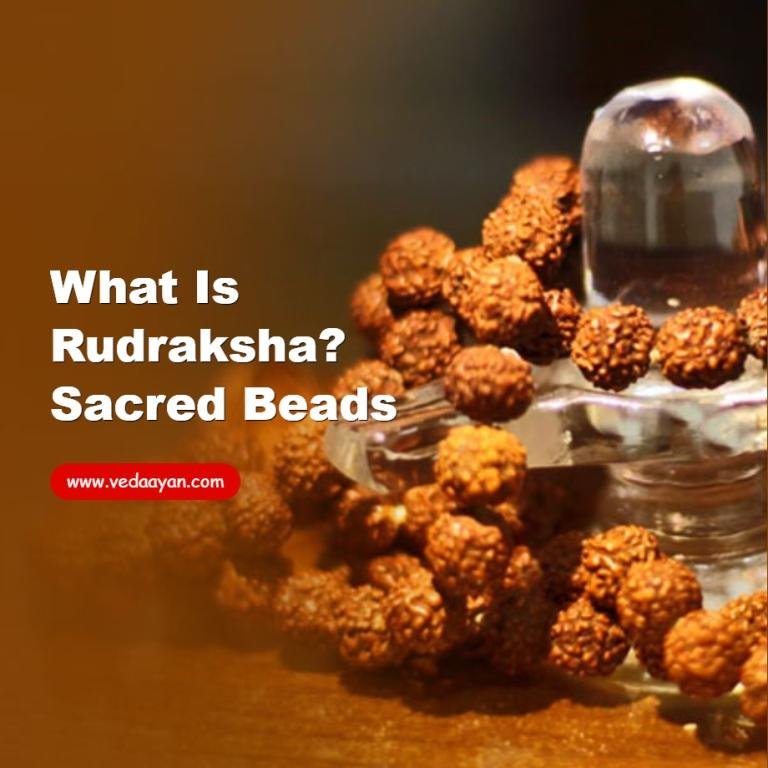 What Is Rudraksha? Sacred Beads